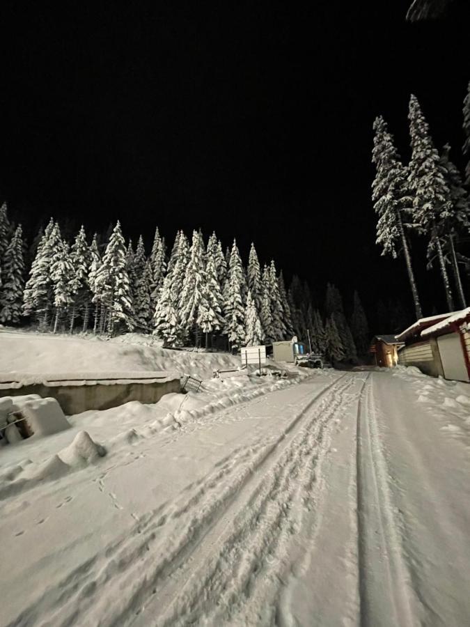 Cozy Apartment B35 In Grand Resort Pamporovo Dış mekan fotoğraf
