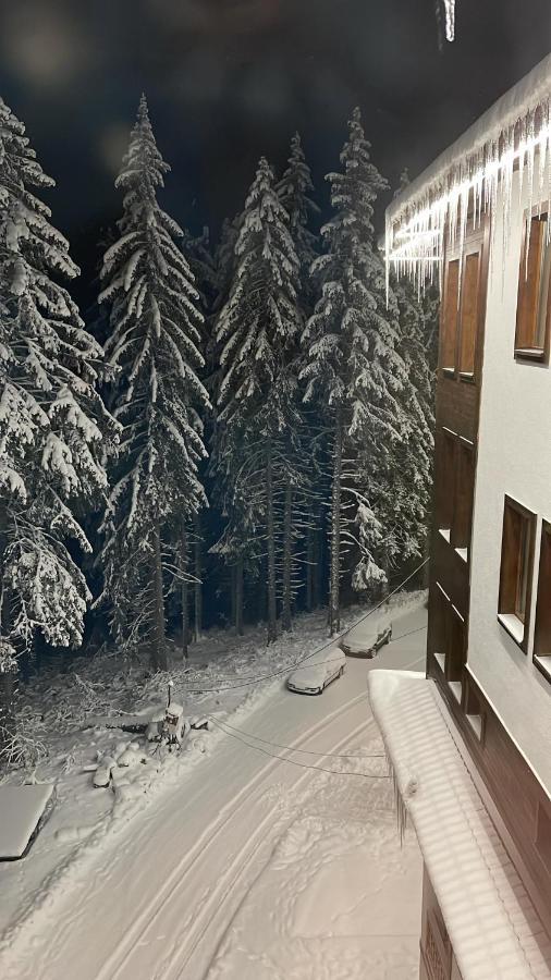 Cozy Apartment B35 In Grand Resort Pamporovo Dış mekan fotoğraf
