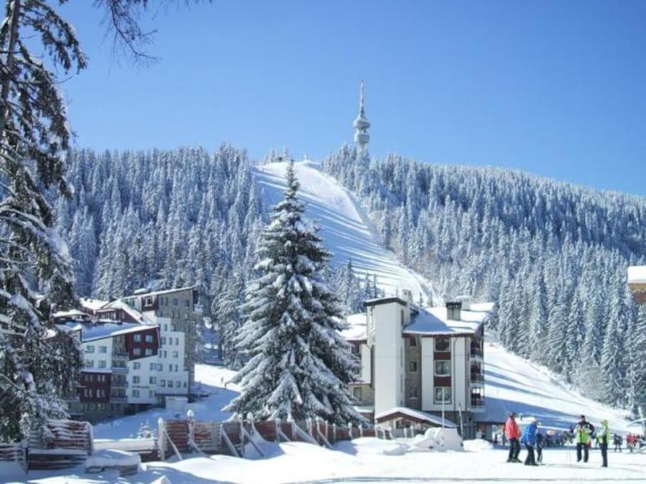 Cozy Apartment B35 In Grand Resort Pamporovo Dış mekan fotoğraf