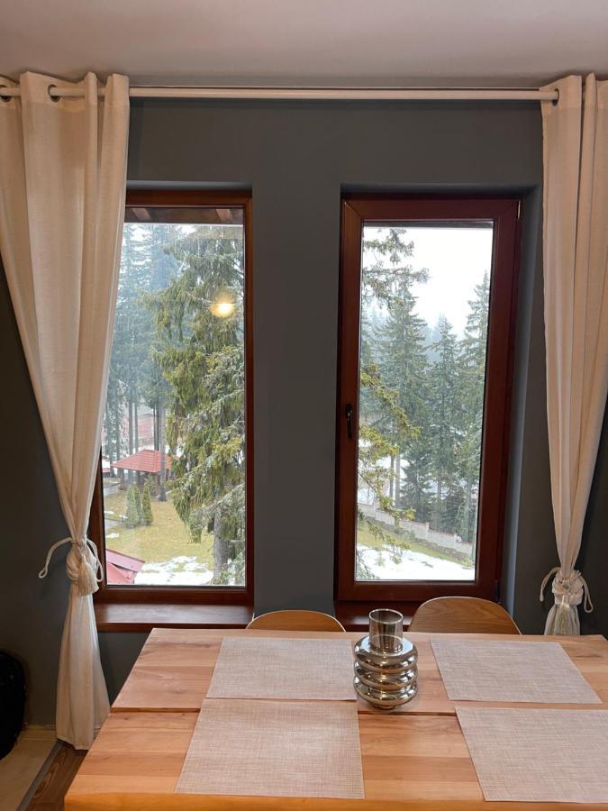Cozy Apartment B35 In Grand Resort Pamporovo Dış mekan fotoğraf